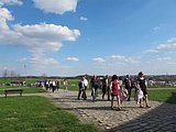 Zelen� hora
