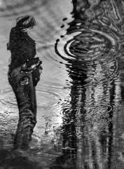 M�j sn�mek Odraz v klau�i byl za�azen do v�b�rov�ho alba mezin�rodn� fotoskupiny Minimal Black&White Corner. Byla za�azena do v�b�ru Top 4.