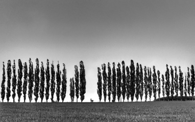 Jsem r�d, �e tato m� fotografie byla ocen�na i ve skupin� B&W Street Photo Challenge, kde byla za�azena do v�b�ru Top 4 Photos.