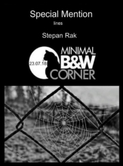 Jsem r�d, �e tato m� fotka z�skala ocen�n� Special Mention v mezin�rodn� fotoskupin� Minimal Black&White Corner v kategorii People Silhouets 